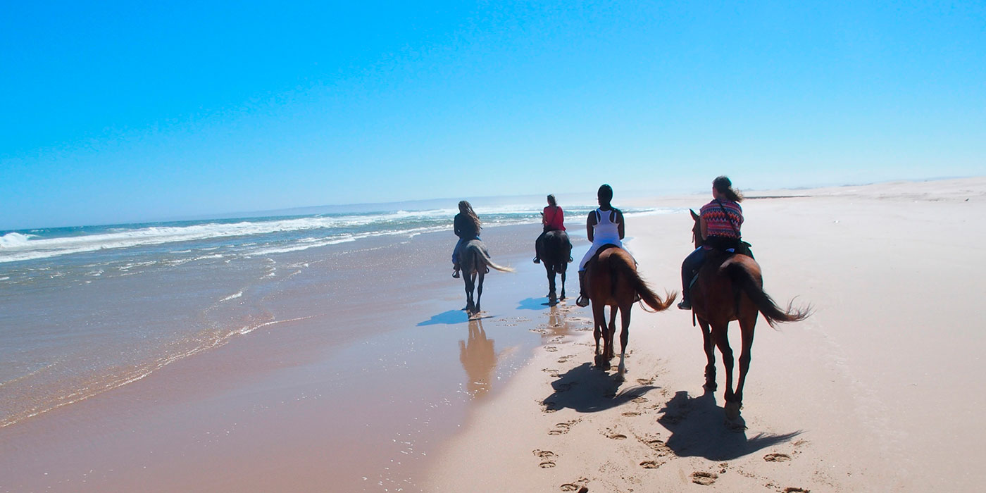 What to do in Conil, TAKE activities